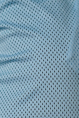 Iconic Light Mesh Shorts Babyblue
